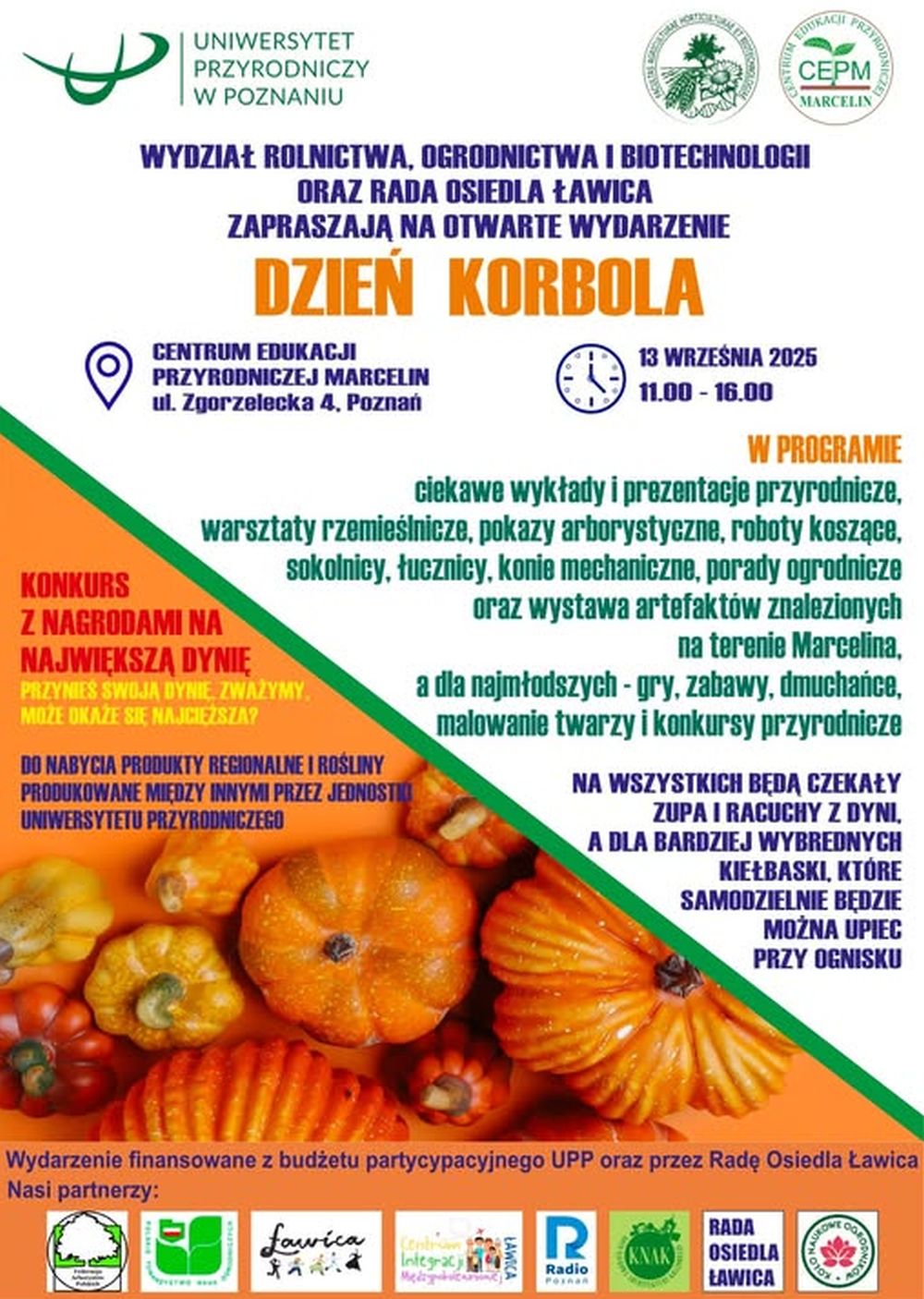 Dzień Korbola 2025 w Poznaniu. Będzie zupa dyniowa