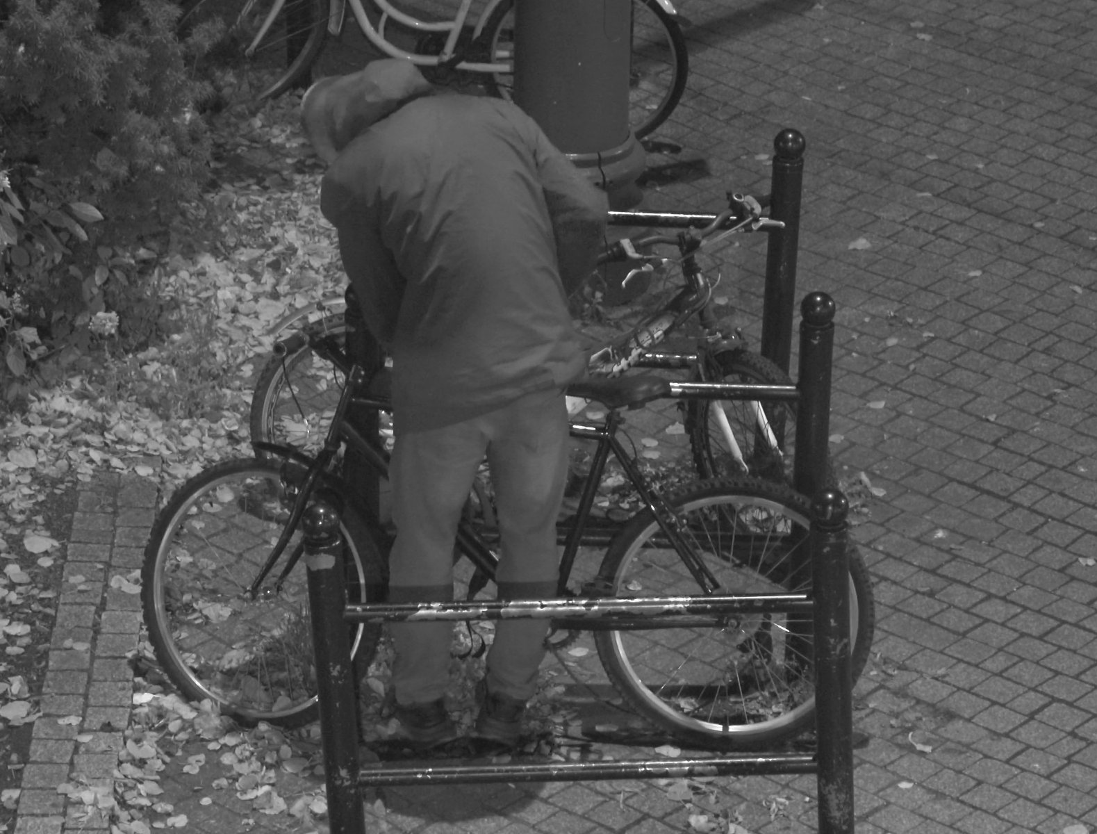 Jeden rower to za mało. Złodziej przyłapany na gorącym uczynku w centrum Poznania