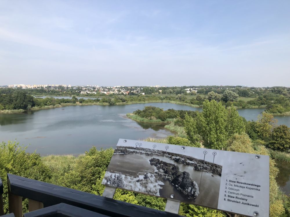 Spacer przyrodniczy po Szachtach w Poznaniu. Ruszyły zapisy na bezpłatne wydarzenie