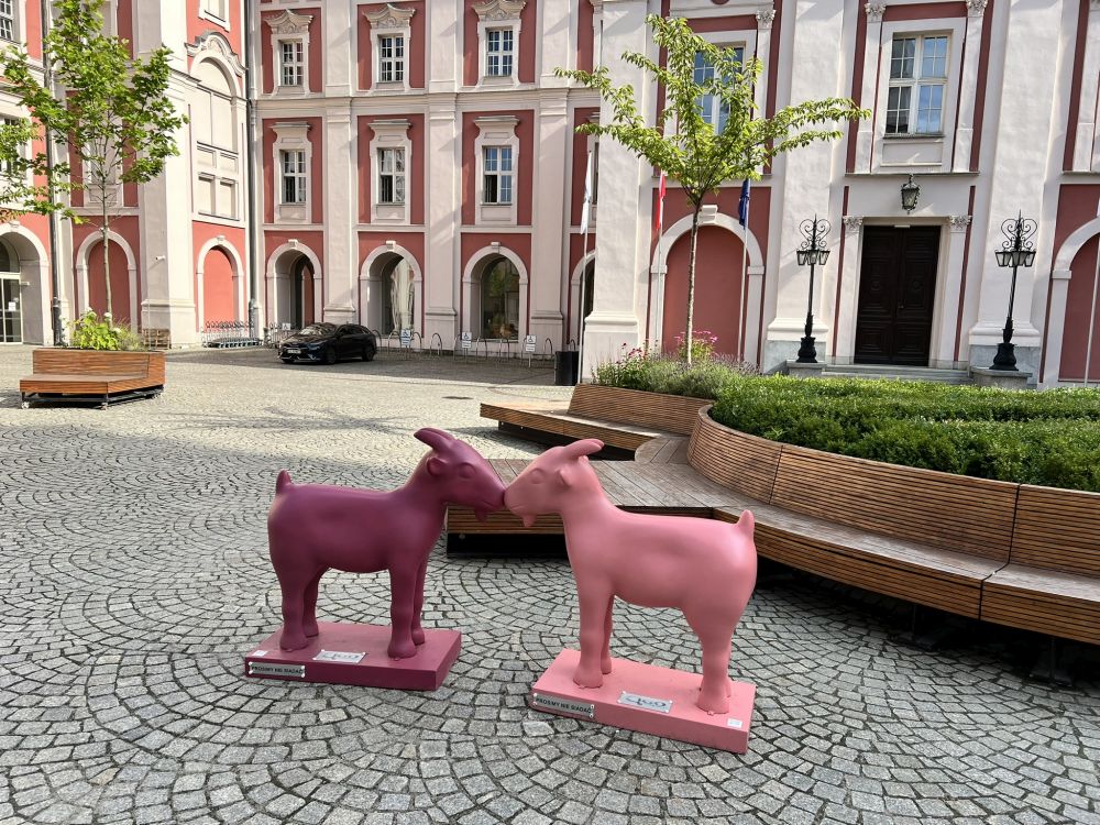 14 sierpnia Urząd Miasta Poznania nieczynny. Jest jeden wyjątek